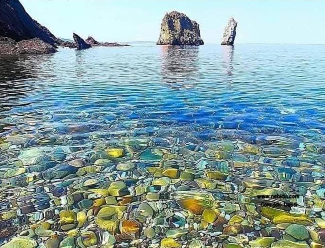 Casa Vacanza Sa Dommu De Teresa Nebida Εξωτερικό φωτογραφία